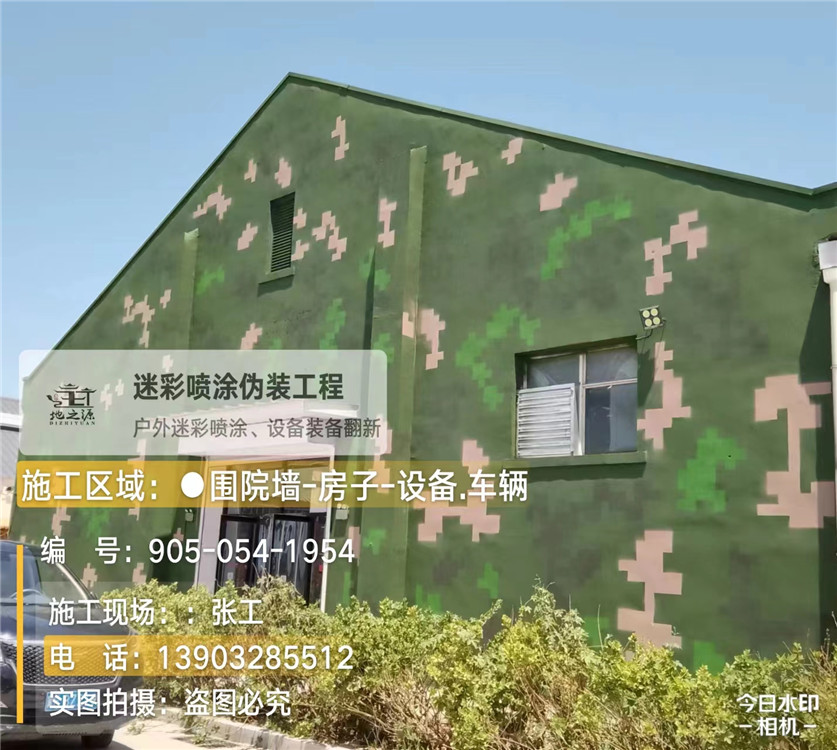 渝中外墙数码迷彩漆施工报价清单（100㎡标准墙面测算）